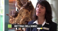 Bettina Dell`Anno