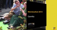 Weinlesefest 2014