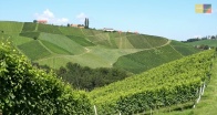 Weingut Karl&Gustav Strauss